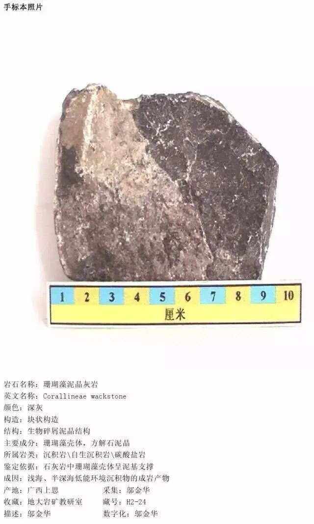 大理石属于哪一种岩石