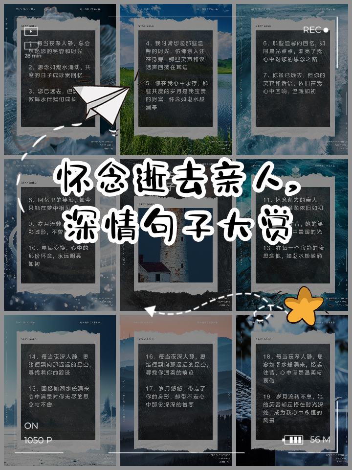 东南网 第5页